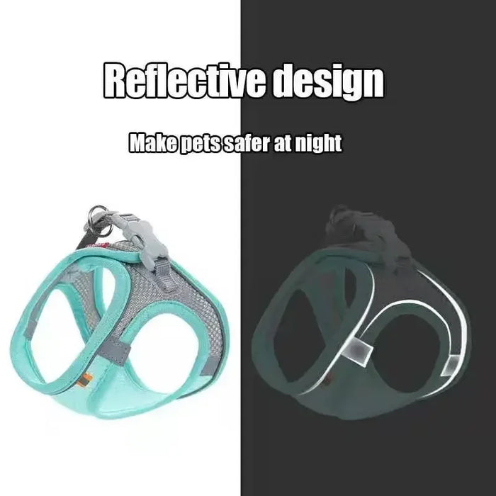 Reflective Night Safety
